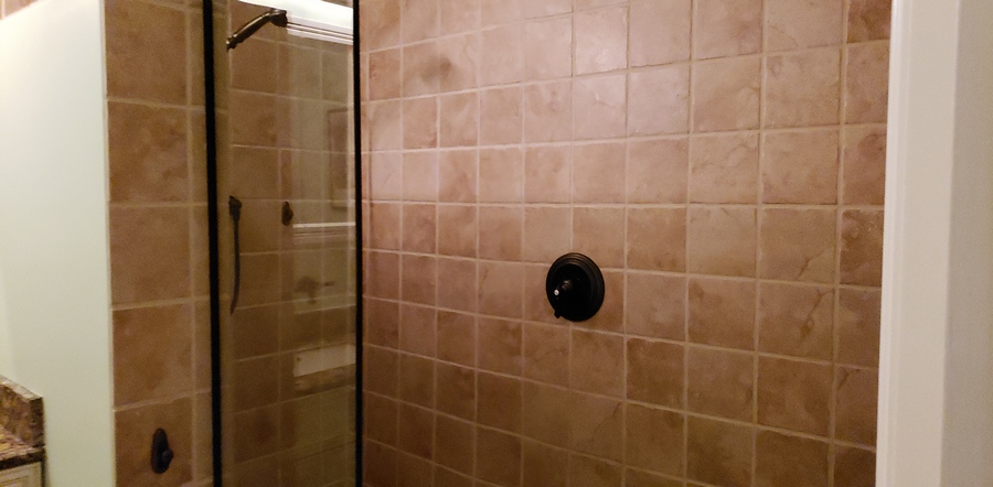 Guest Walk-in Shower
